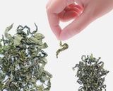 HELLOYOUNG TEA - [Herbal Tea] Folium Syringae Tea 50g