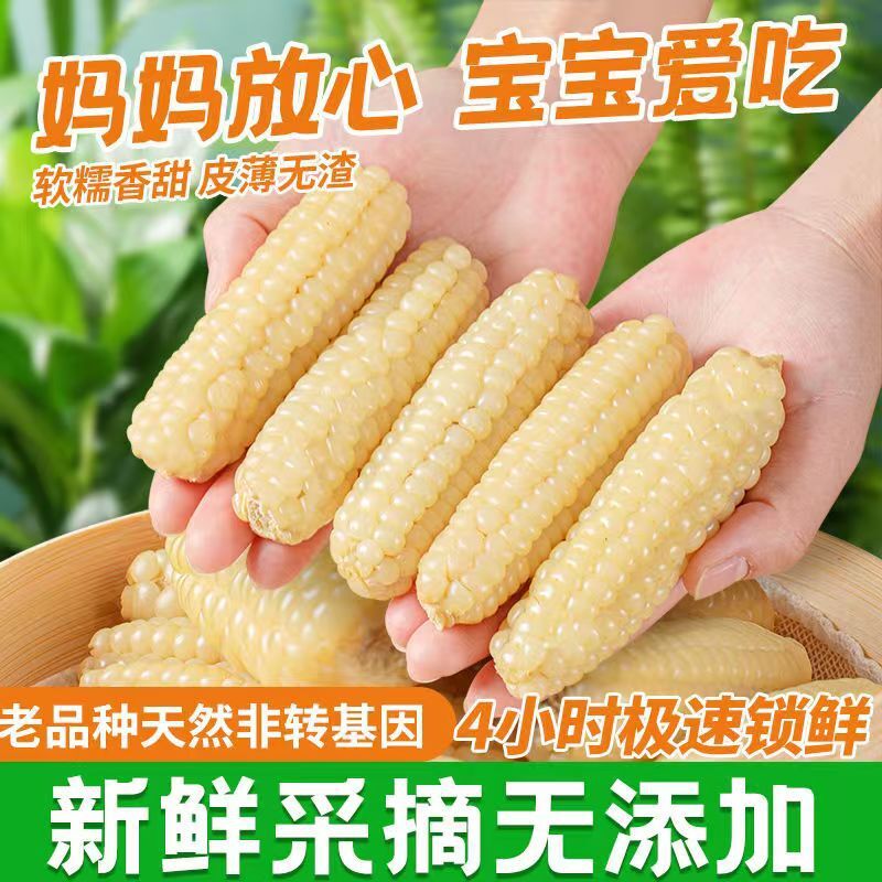 Yunnan Thumb Corn Gift Box – Sweet & Glutinous Treats for Gifting Secondary image