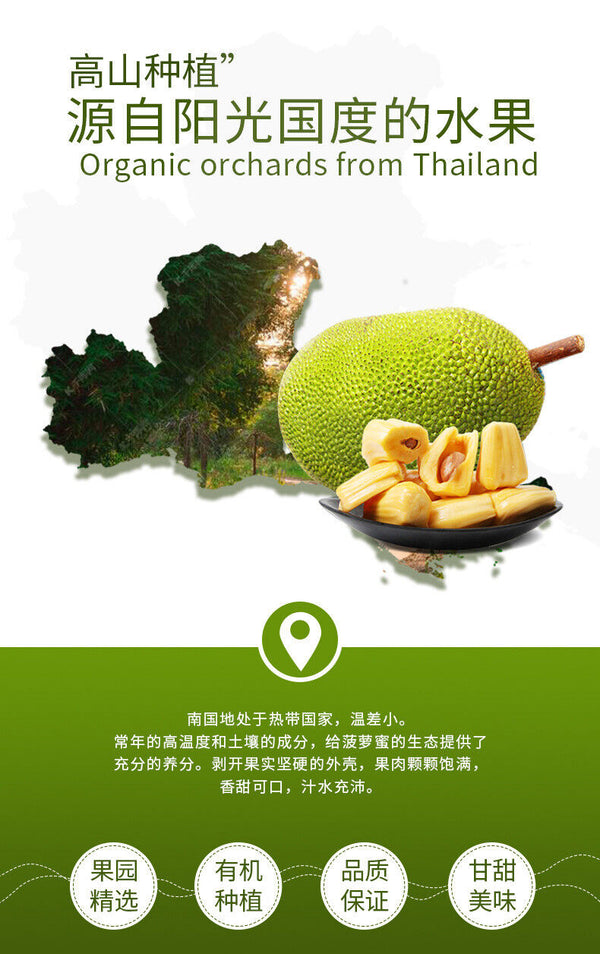 Dried Jackfruit Canned Crisp Fruit Vietnamese Specialty Instant Snacks 250g