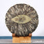 357g Yunnan Pu'er tea leaves Menghai Da Shu tea Putzi tea cake Pu'er raw tea