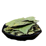 Ginkgo Ginko Herb Maidenhair Tree Loose Leaf Hebrew Tea 8.8 / 17.6 oz