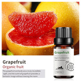 100% Pure Natural Oil Essential Oils  - 20+ Options! Aromatherapy Oil -10 mL