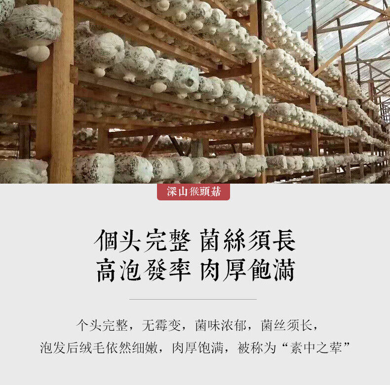 500g Free Shipping Non-smoked Lion's Mane Mushroom New Hericium Erinaceus