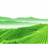 7542 Pu'er Tea Puer Cha Tea Cake Organic Health Drink Dayi 357g Yunnan Dayi