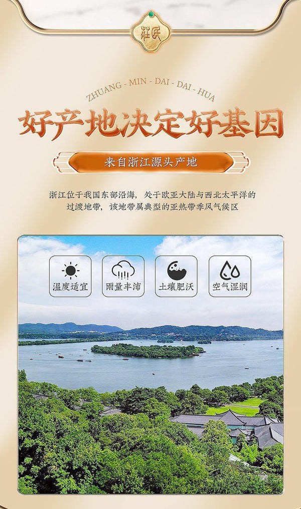 Dai Dai Hua 玳玳花 60g/can Bitter Citrus Immature Flower Herbal Tea
