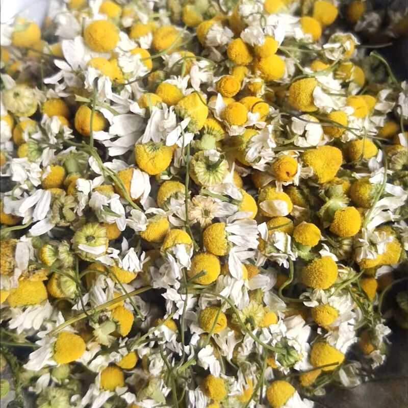 Chamomile new chamomile dried flowers chamomile petals froth flowers crushed
