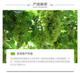 500g Turpan Raisins New Product Green Raisins Large Granule Special Product