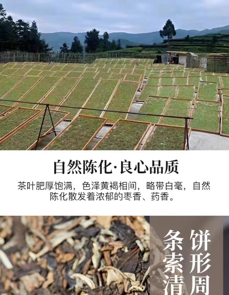 350g Fuding high mountain white tea aged day sun old tea cake gongmei shoumei