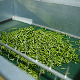 2025 First Flush Longjing Tea Premium Grade 50g Fresh Hangzhou Origin