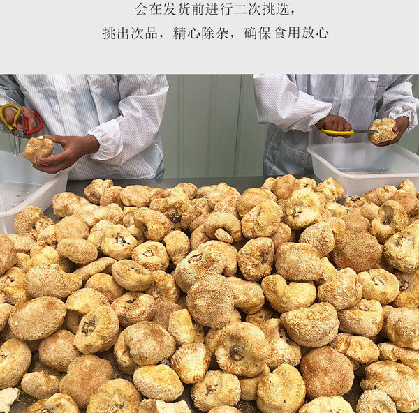 500g Free Shipping Non-smoked Lion's Mane Mushroom New Hericium Erinaceus