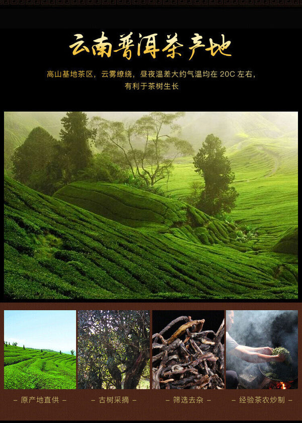 Yunnan Pu'er Tea Cake Tea Raw Tea Cake Small Cake Yiwushan Pu'er Tea 100g