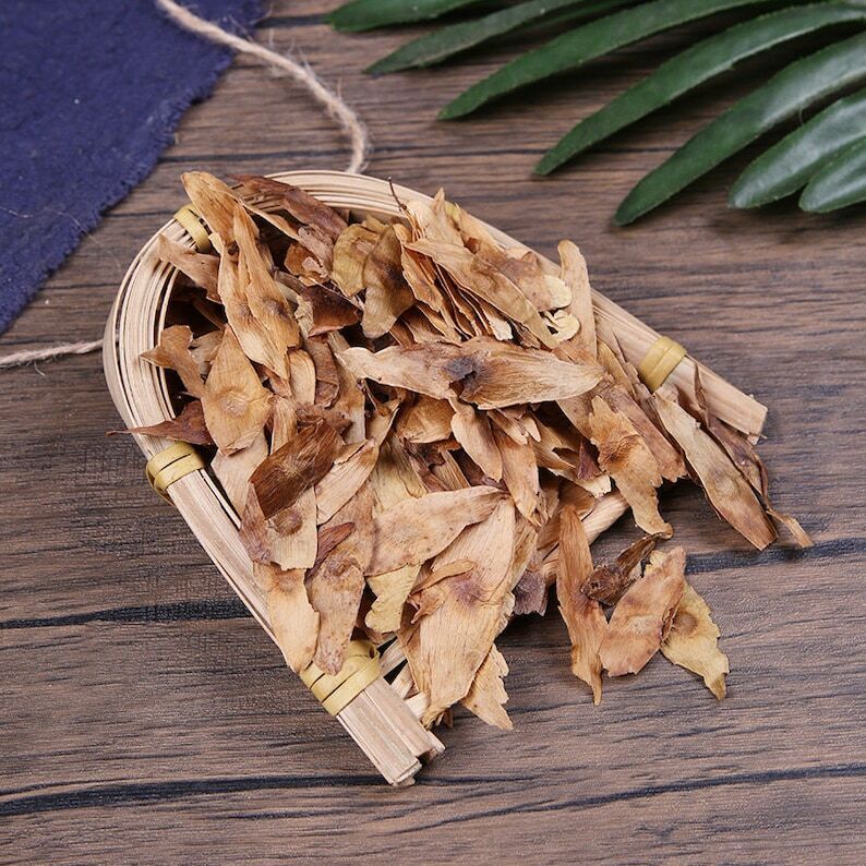 Herbal Ailanthus Altissima Fruit of Tree-of-heaven Ailanthus Fengyancao