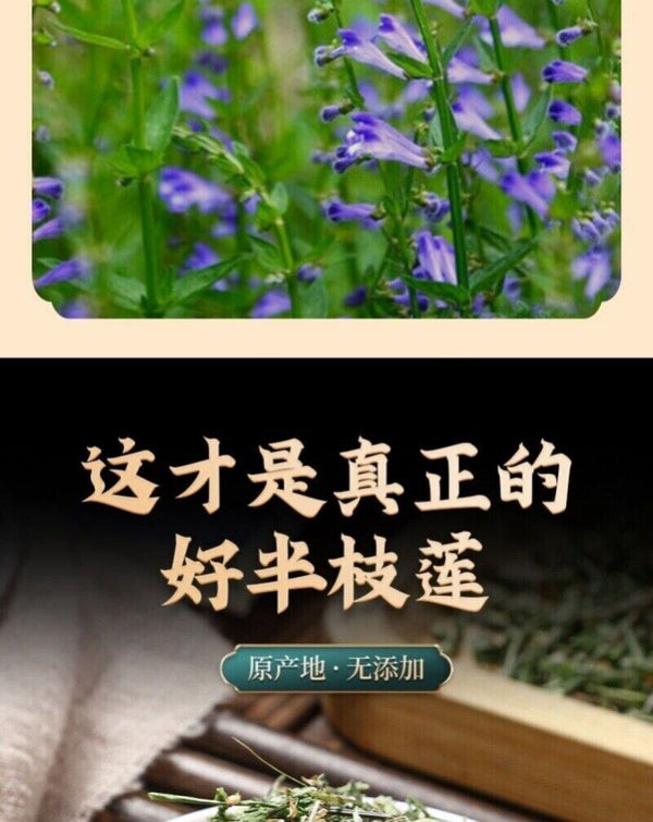 Wild Scutellaria Barbata Herb 100g Premium Sun Dried Fresh Harvested Natural