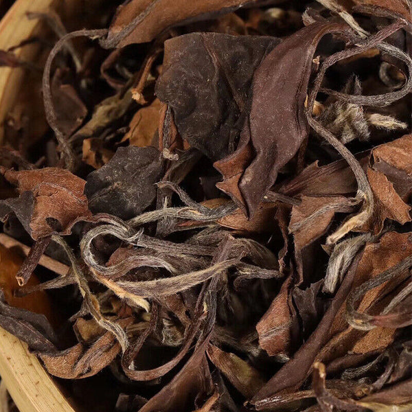 White Tea Chinese Tea Organic Healthy Tea 500g NaturalShoumei Loose Leaf