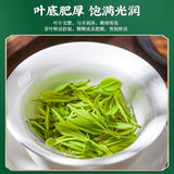 Longjing Green Tea First Flush250g Tin Packaged Fresh Mung Bean Aroma Spring Tea