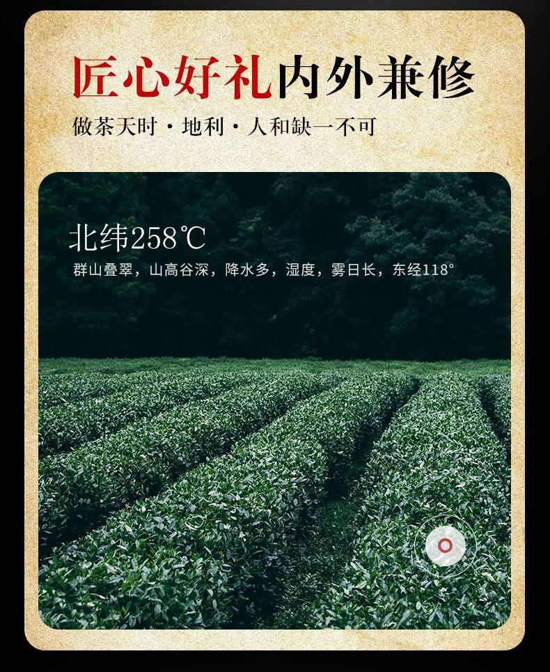 Oolong Tea Gift Bag New Tea Luxiang Type Dahongpao 500g Wuyi Mountain Tea