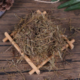Dried Herb of Threeflower Bluebeard Caryopteris Terniflora Makes A Healthy Tea
