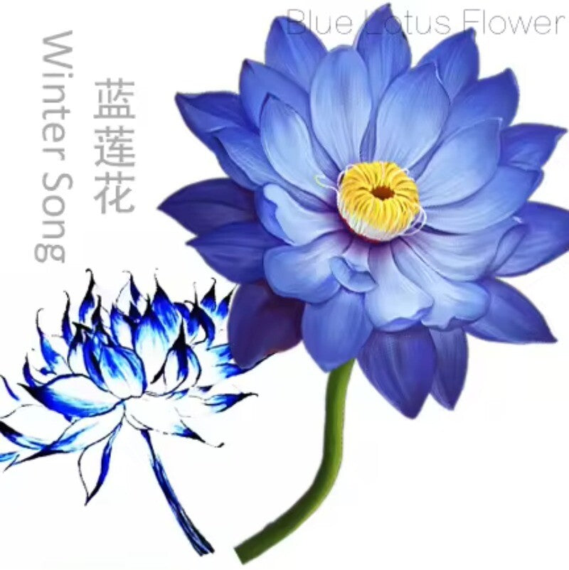 Natural Base Planting Pesticide Free Chinese Herb Dried Blue Lotus Flower Main image