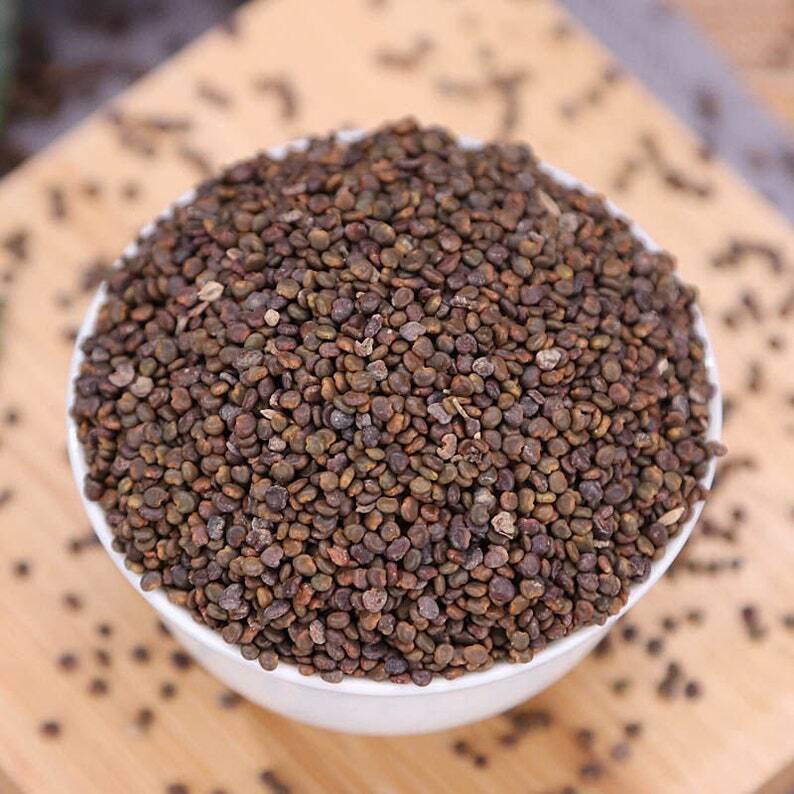Recommend Organic Flastem Milkvetch Seed, Semen Astragali Complanati Sha Yuan Zi Secondary image