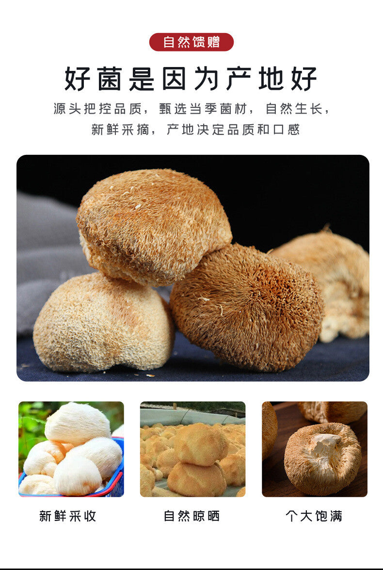 Sulfur-Free Dried Hericium Mushroom - Fresh, Loose Bulk Edible Fungi