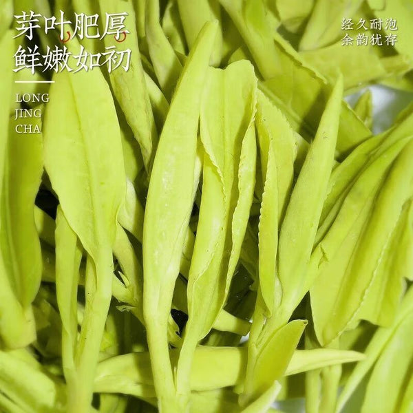 2025 Longjing Green Tea First Flush 120g Bean Aroma Strong Flavor Spring Harvest