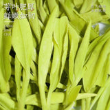 2025 Longjing Green Tea First Flush 120g Bean Aroma Strong Flavor Spring Harvest
