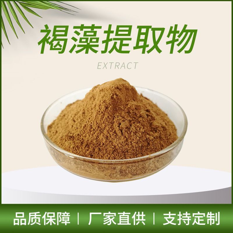 100g Brown Algae Extract Powder 20:1 | Seaweed Derived | Water Soluble| Vegan Main image