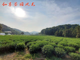 New Tea Longjing Crushed Tea Loose Tea Pieces Green Tea Crushed 500g/1.1lb