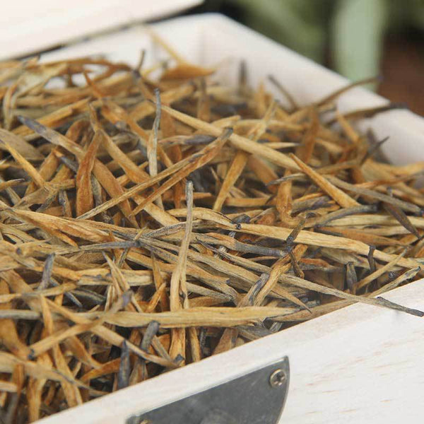 500g wooden box Yunnan  ancient tree big gold needle golden bud Dian Hong tea