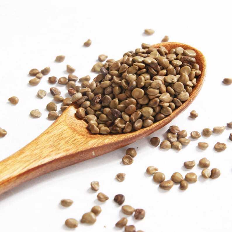 Organic Herbal Coffee Senna Fructus seu Semen Cassiae Occidentalis Great Quality Secondary image