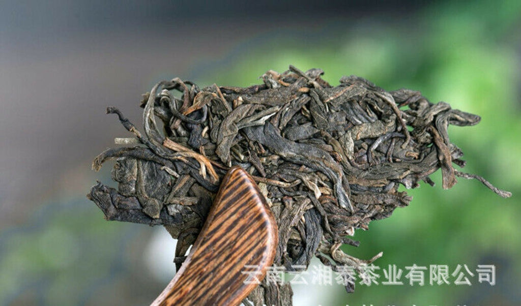 Yunnan Pu'er Tea 2015 Iceland Ancient Tree Early Spring Puer Raw Tea 357g