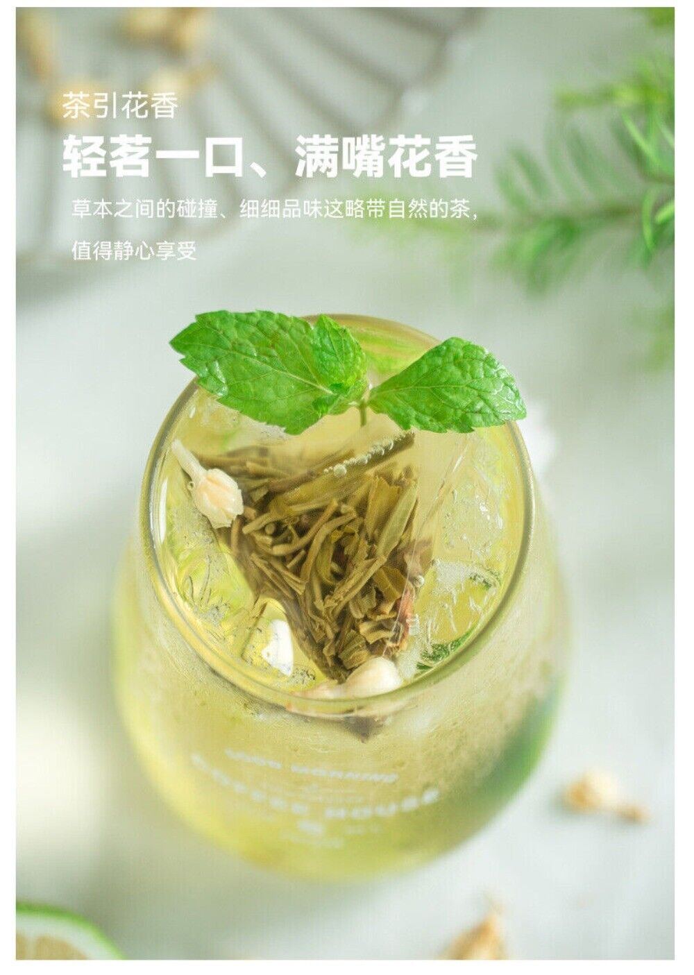 Jasmine Green Tea Bags 2025 Cold Brew Fragrant Natural Healthy No Sugar Summer