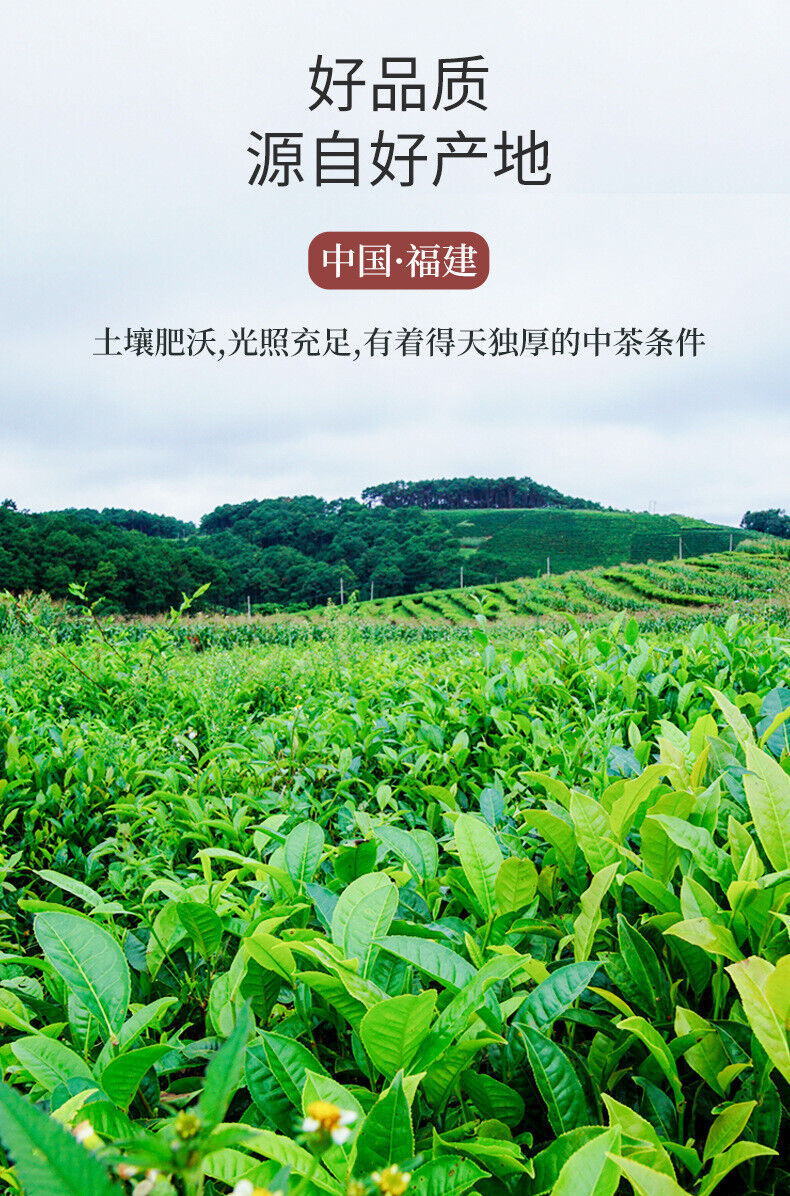 Jasmine Tea Green Tea Leaves Bulk New Tea 飘雪小针王儿女环白毫 500g