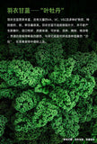 Kale Powder Probiotics Barley Green Juice Dietary Fiber Vegetable Powder 45g