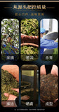 Aged Ancient Tree Pu'er Tea Raw Tea Tuo Tea Golden Melon 400g