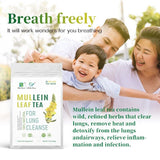 Mullein Leaf TeaNatural Herbal Detox Smoker Tea Manufacturer Tea 90g/3.17oz
