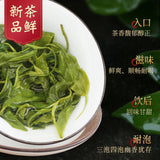 Premium Bi Luo Chun Green Tea Strong Aroma High Mountain Maojian Loose Leaf Bag