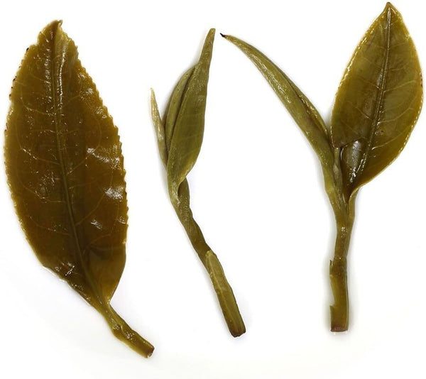 250g Nonpareil Supreme Spring Suzhou Biluochun Snail Shape Chinese Green Tea