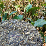 357g Top Green TeaZhonghong India Mengku Spring Tea Yunnan Pu'er Tea Cake