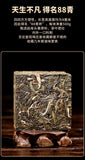 Pu'er Tea Raw Tea 88 Green Brick Spring Tea Yunnan Ancient Tree Tea 500g