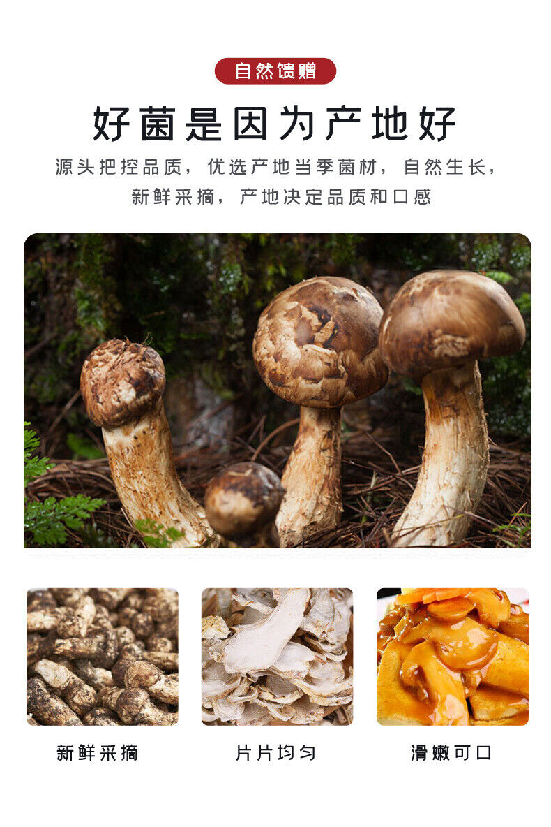 Yunnan Snow Mountain Matsutake Slices Dried Wild Mushrooms Bulk