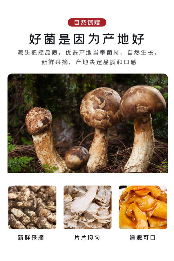 Yunnan Snow Mountain Matsutake Slices Dried Wild Mushrooms Bulk