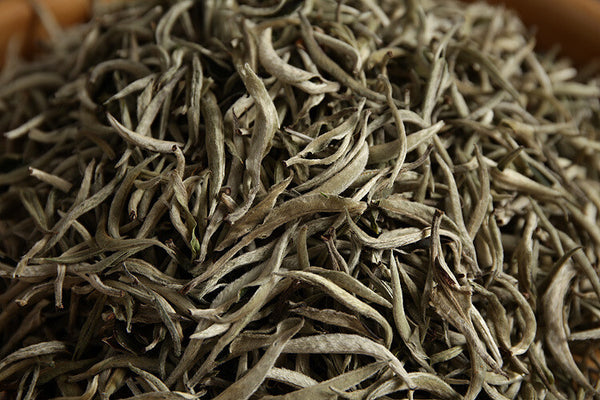 2024 Premium  Yunnan Pu'er Raw Baihao Yinzhen White Tea Loose Leaf 500g