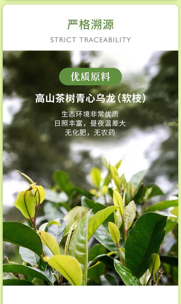 Extreme Edge Jade Alpine Oolong Tea Clear Aroma Thé en sachet 150g