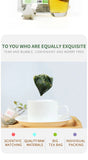 Mulberry Leaf Tea Herbal Tea 150g