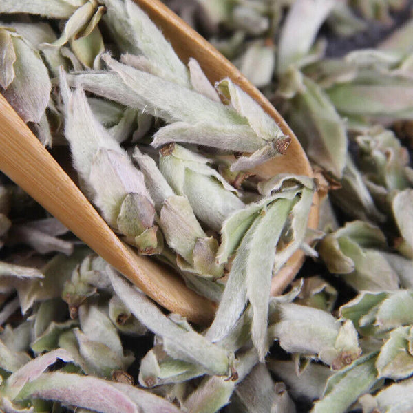 Yunnan Puer Tea Loose Shen Puerh White Buds Bai Ya Bao Yunnan Pu Erh Cha 500G