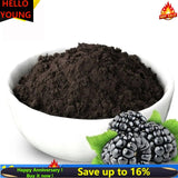 500g 100% pure mulberry fruit juice powder Chinese herbal