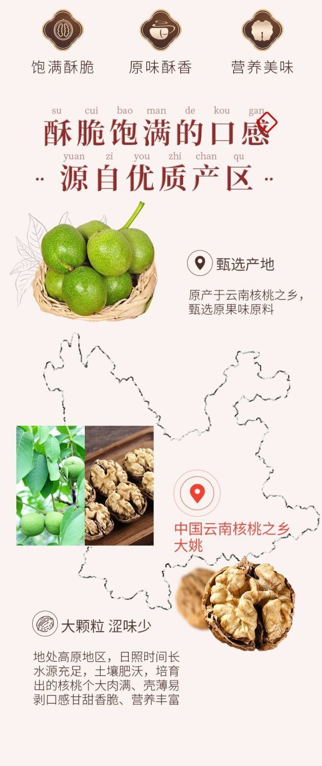 Academy of Agriculture Yunnan Walnuts – Shelled Fresh