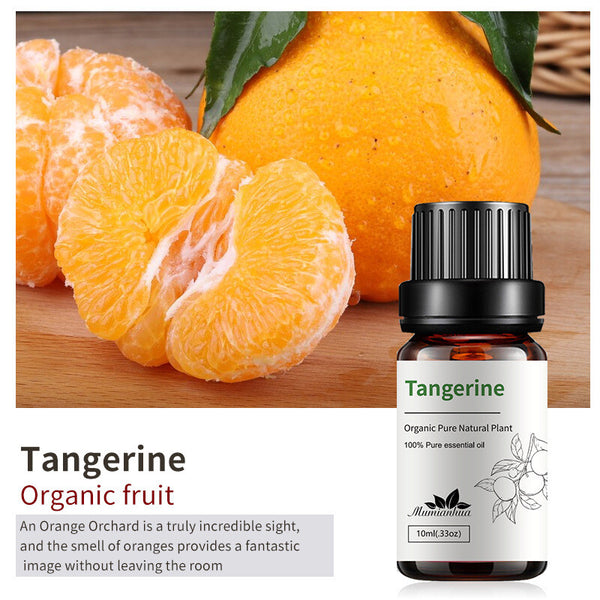 Essential Oils 100% Pure Therapeutic Oil - 20+ Options! Aromatherapy Oil 10 mL