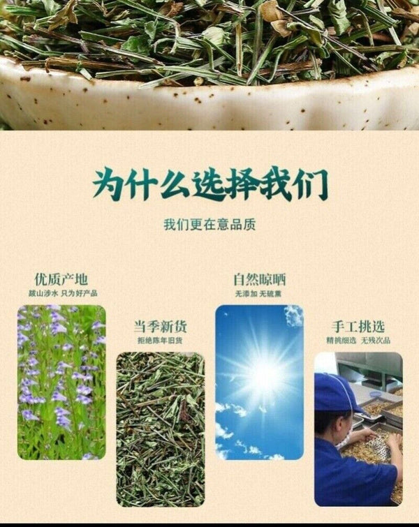 Wild Scutellaria Barbata Herb 100g Premium Sun Dried Fresh Harvested Natural